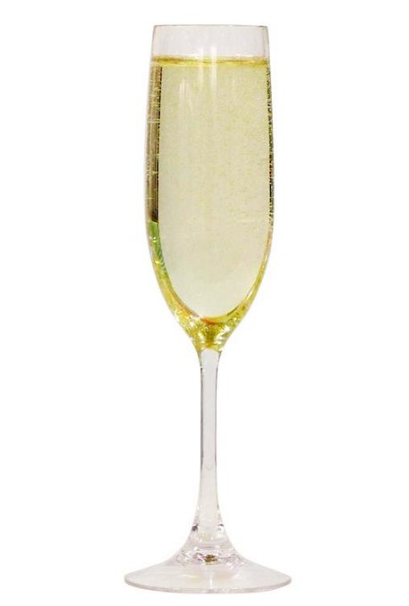 Connoisseur Acrylic Champagne Flutes