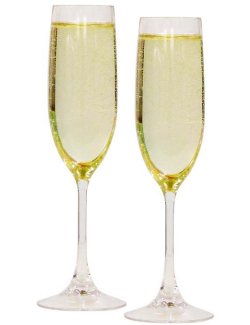 Connoisseur Acrylic Champagne Flutes