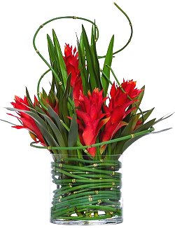 Deep Red Ginger & Bromeliad Silk Floral Centerpiece Arrangement