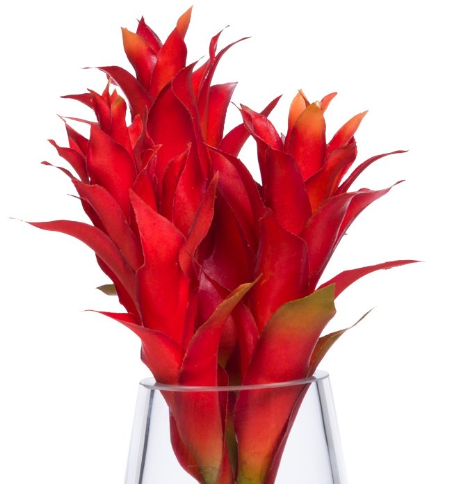 Red Bromeliad Bedside/Bath Silk Floral Arrangement