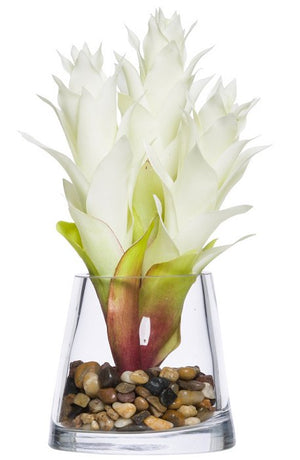 White Bromeliad Bedside/Bath Silk Floral Arrangement