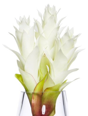 White Bromeliad Bedside/Bath Silk Floral Arrangement