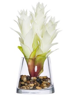 White Bromeliad Bedside/Bath Silk Floral Arrangement