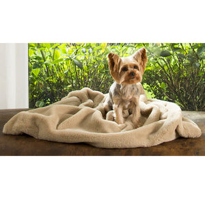 Luxury Plush Faux Fur Pet Throw- Latte Minky