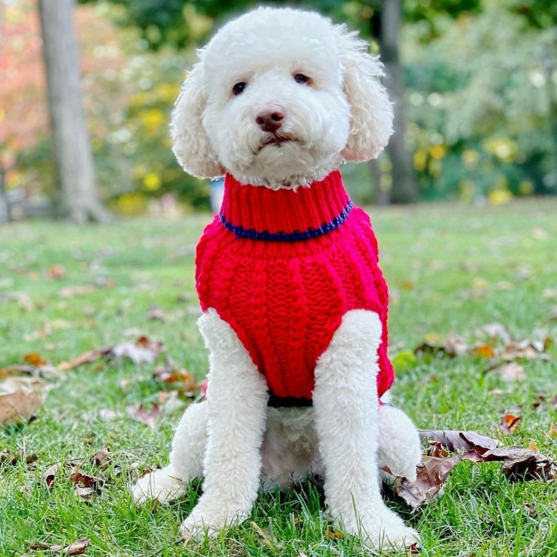 Classic Cable Hand-Knit Sweaters