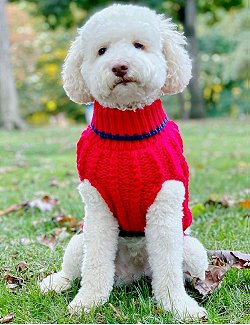 Classic Cable Hand-Knit Sweaters