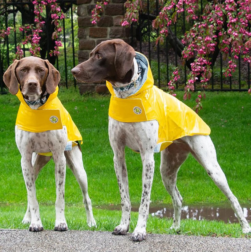 Rainy Days Classic Yellow Slicker