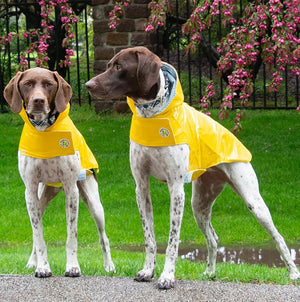 Rainy Days Classic Yellow Slicker