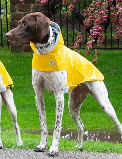 Rainy Days Classic Yellow Slicker